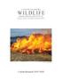 Primary view of Caesar Kleberg Wildlife Research Institute Report of Current Research: 2020