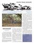Journal/Magazine/Newsletter: South Texas Wildlife, Volume 24, Number 4, Winter 2020-2021