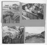 Photograph: [Soldiers Offloading Mules from Ship]