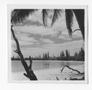 Photograph: [Beach on the Isle of Pines, #3]