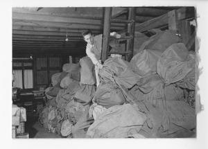 Primary view of object titled '[Man in a Mailroom]'.