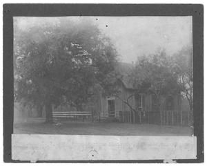 Primary view of object titled '[Large Tree in Front of a Wooden Cabin]'.