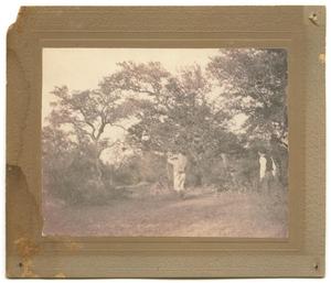 Primary view of object titled '[Photograph of Hunters at the Llano River]'.