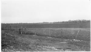 Primary view of object titled '[Proposed Warehouse Site U.S. Highway 81 in Georgetown]'.