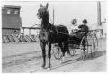 Photograph: [Horse and Buggy]