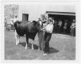 Photograph: [Clay County Livestock Show]