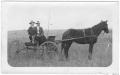 Photograph: [Horse and Buggy]