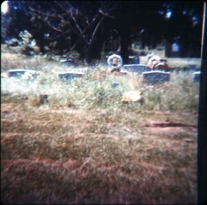 Primary view of object titled '[Cemetery in Harrison County]'.