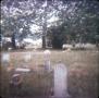 Photograph: [Cemetery in Harrison County]