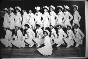Primary view of object titled '[PHS Drill Team]'.