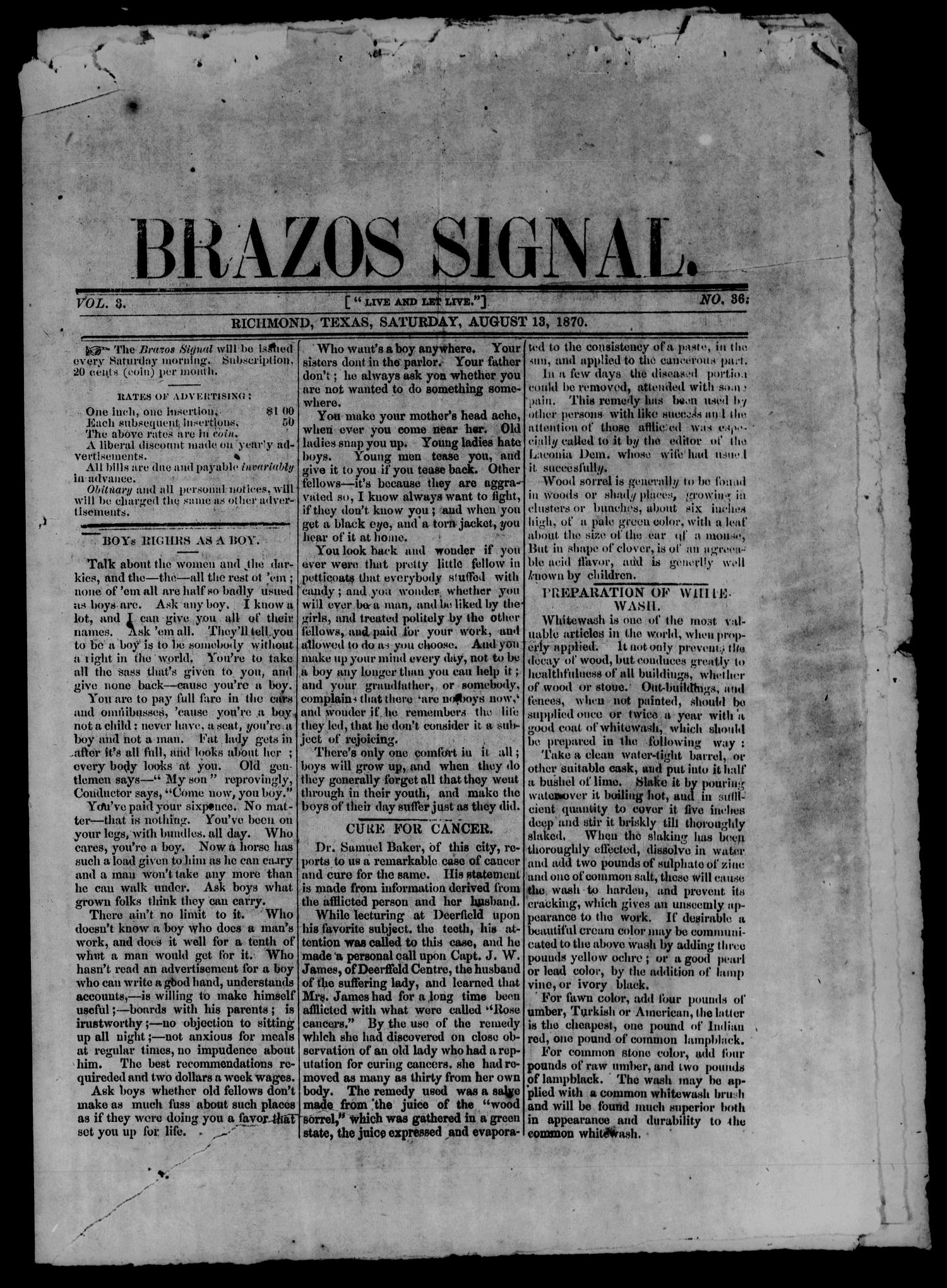 Brazos Signal (Richmond, Tex.), Vol. 3, No. 36, Ed. 1 Saturday, August 13, 1870
                                                
                                                    [Sequence #]: 1 of 4
                                                