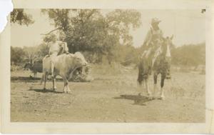 Primary view of object titled '[Man on horse leading steer]'.
