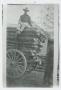Thumbnail image of item number 1 in: '[Man on truck loaded with wood]'.