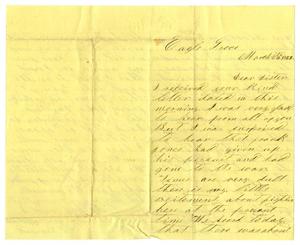 Primary view of object titled '[Letter from David S. Kennard to his sister, March 24, 1862]'.