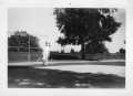 Photograph: [Horace Barnhill standing near the baseline at Booth Tennis Courts]