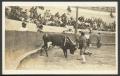 Primary view of [A Bullfight in Plaza de Toros, Juarez Mexico]