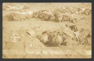 Primary view of object titled '[Dead on the Battlefield 2]'.