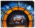 Photograph: [Stained Glass Window Pane of a Wolf]
