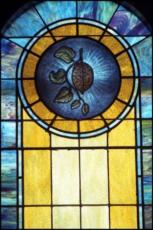 Primary view of object titled '[Stained Glass Window Pane of a Citron Container]'.