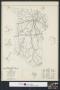 Thumbnail image of item number 1 in: 'General highway map San Augustine County Texas'.
