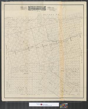 Primary view of object titled 'Mitchell County, State of Texas.'.