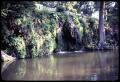 Thumbnail image of item number 1 in: '[Outdoor Scene of Water and Small Waterfall]'.