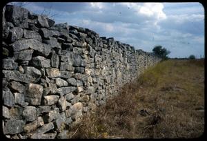 Primary view of object titled '[Rock Wall Receding into Background]'.