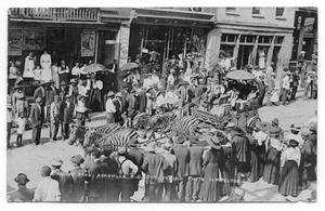 Primary view of object titled 'Ringling Brothers Circus Zebras'.