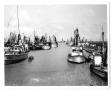 Thumbnail image of item number 1 in: '[Shrimping Boats at Docks]'.