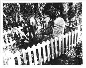 Primary view of object titled '[Grave of Arthur Stilwell Smith]'.