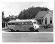 Photograph: [Coastal Coaches Bus to Port Arthur]
