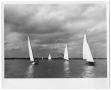 Photograph: [Sailboats on the Water]