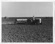 Photograph: [Three Plows in a Field]