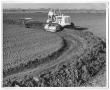 Photograph: [Men Plowing a Field]