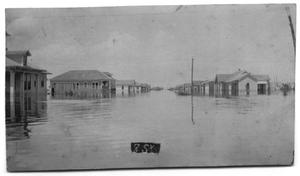 Primary view of [Row of Houses During Flood]