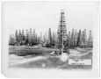 Photograph: [Oil Wells at Spindletop]