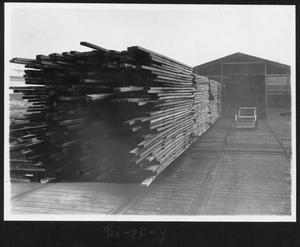 Primary view of object titled '[Stacked Lumber near a Shed, Possibly the Dry Shed]'.