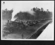 Thumbnail image of item number 1 in: '[Texas South-Eastern Railroad Engine 3 at the Southern Pine Lumber Company Mill Pond]'.