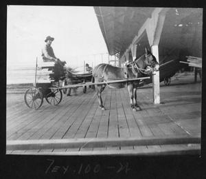 Primary view of object titled '[Donkey pulling a Lumber Cart]'.