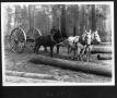 Photograph: [Southern Pine Lumber Company Slip Tongue Log Skidder and Team]