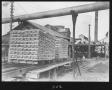 Photograph: [Lath on the Dry Kiln Trams]