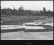 Photograph: [Mill Pond Detailed View]