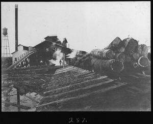 Primary view of object titled '[Hardwood Logs on the Unloading Dock]'.