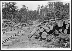Primary view of object titled '[Southern Pine Lumber Company Right of Way - 2]'.