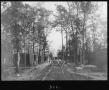 Photograph: [Southern Pine Lumber Company Camp 1 from North]