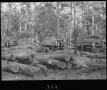 Primary view of [Four Cars of Pine Logs]