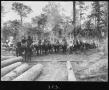 Primary view of [Camp 2 Four-mule Logging Teams]