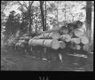 Photograph: [Pine Log Cars at Southern Pine Lumber Company Camp 2]