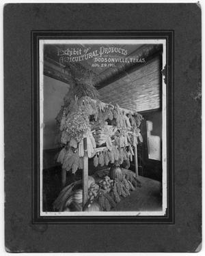 Primary view of object titled '[Exhibit of Dodsonville agricultural products]'.
