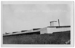 Primary view of object titled '[Cotton compress]'.